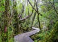 /album/quinto-x-region/h-467-parque-nacional-chiloe-shutt-1124777636-1-jpg/